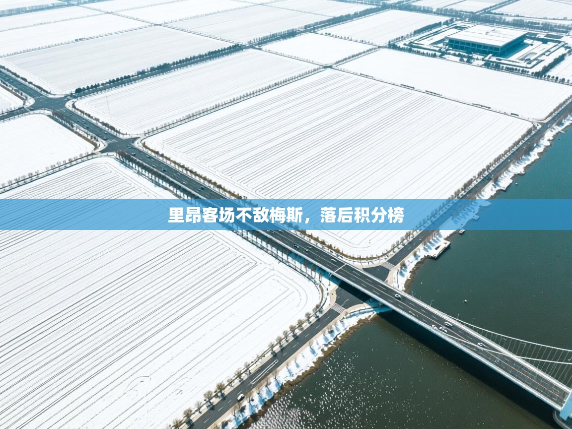 里昂客场不敌梅斯，落后积分榜  第1张