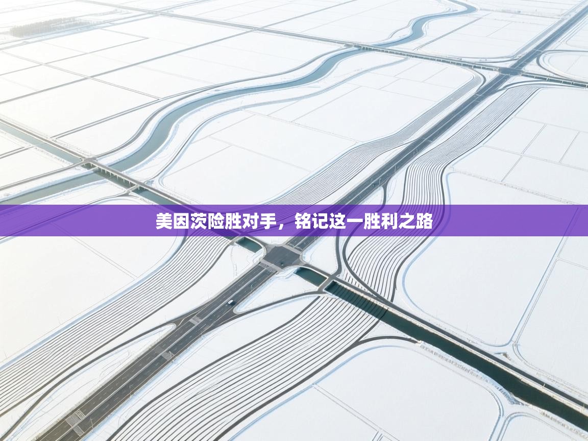 美因茨险胜对手,铭记这一胜利之路 第2张