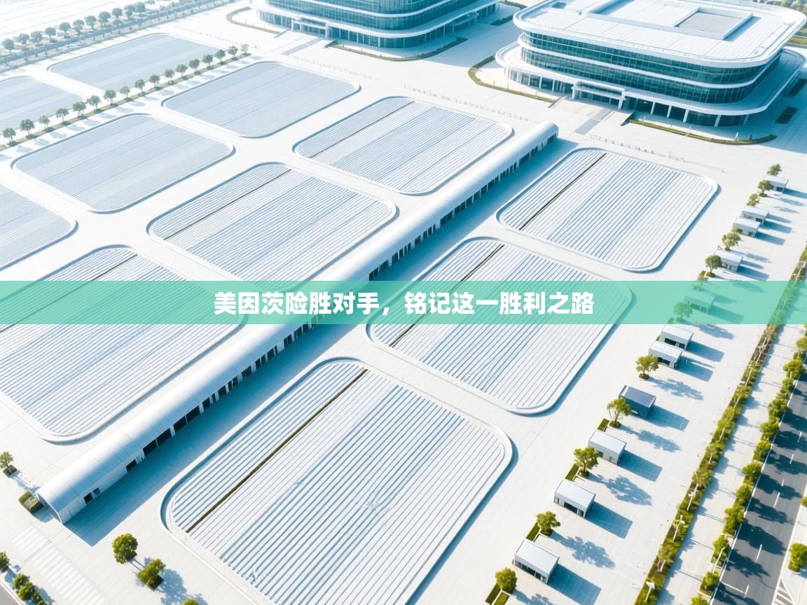 美因茨险胜对手,铭记这一胜利之路 第1张