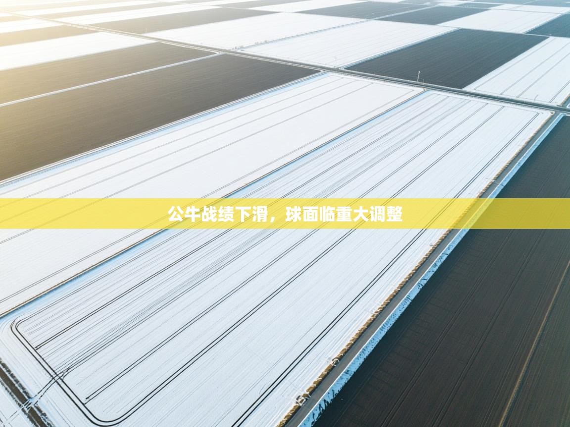 公牛战绩下滑，球面临重大调整  第2张